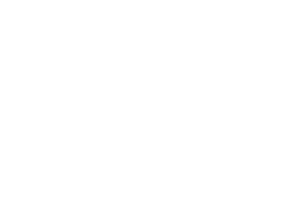 Игроник